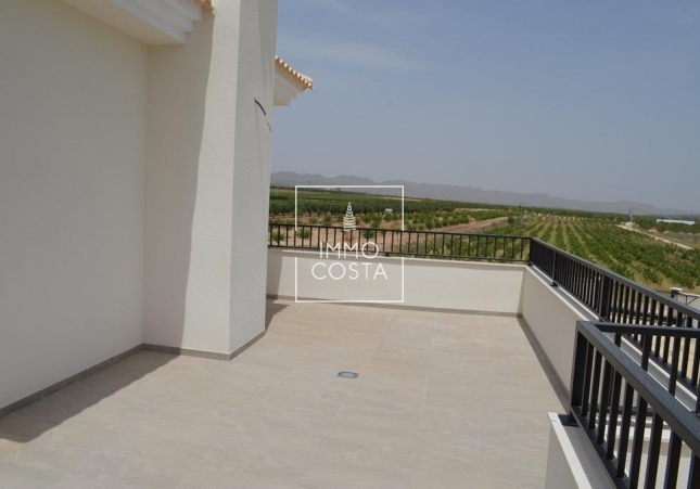 Obra nueva - Villa - Pinoso - Camino Del Prado