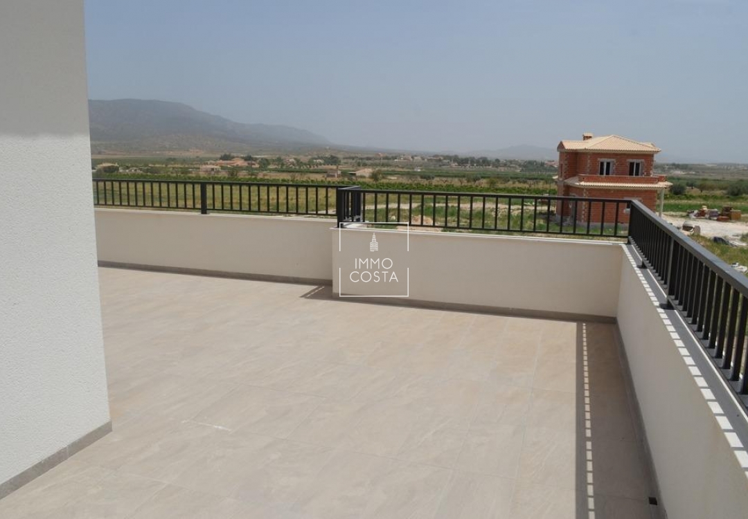 Obra nueva - Villa - Pinoso - Camino Del Prado