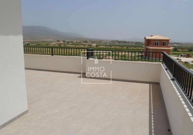 Obra nueva - Villa - Pinoso - Camino Del Prado