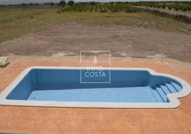 Obra nueva - Villa - Pinoso - Camino Del Prado