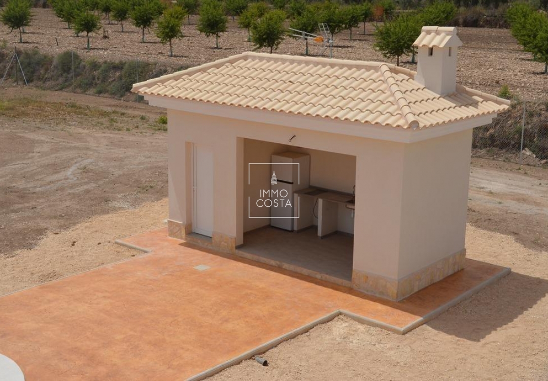 Obra nueva - Villa - Pinoso - Camino Del Prado