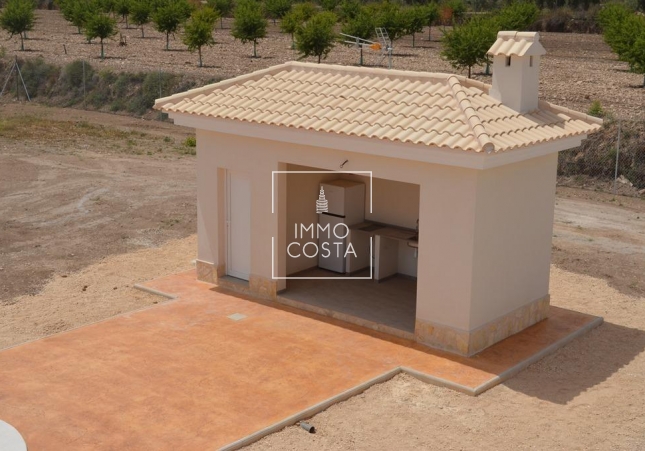 Obra nueva - Villa - Pinoso - Camino Del Prado