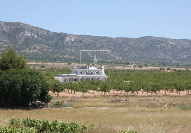 Neubau - Villa - Pinoso - Camino Del Prado