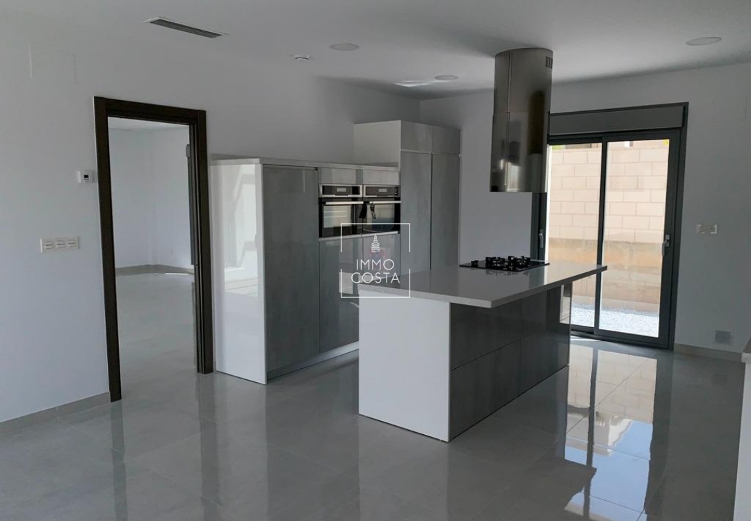 Obra nueva - Villa - Pinoso - Camino Del Prado