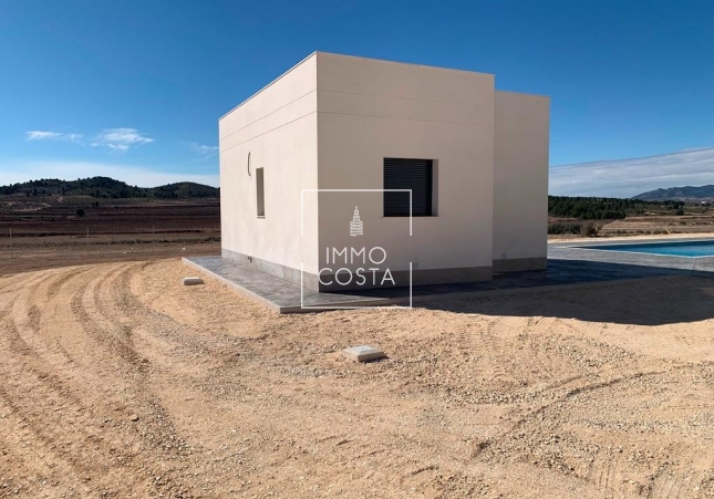 Obra nueva - Villa - Pinoso - Camino Del Prado