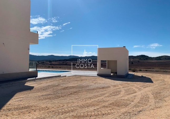 Obra nueva - Villa - Pinoso - Camino Del Prado