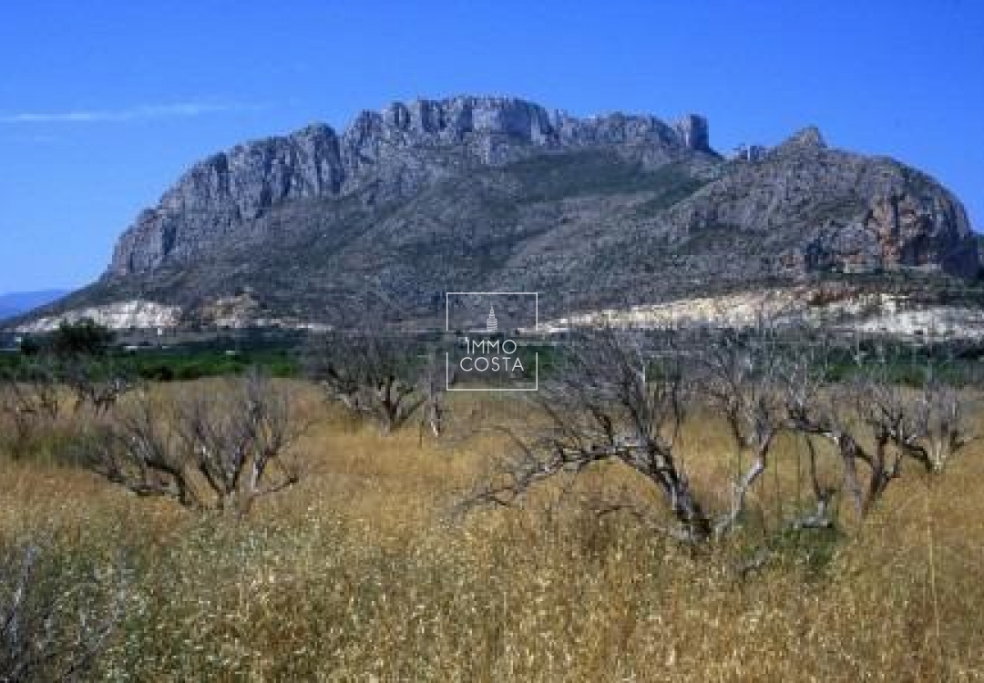 Obra nueva - Apartamento / piso - Denia - El Verger