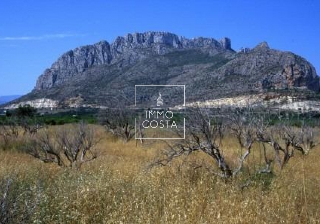 Nieuwbouw Woningen - Penthouse - El Verger