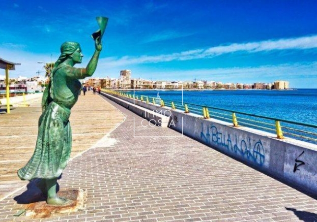 Neubau - Penthouse - Torrevieja - Habaneras