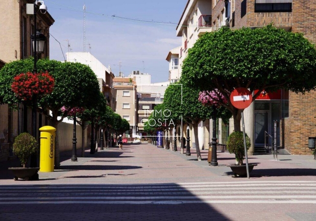 Nouvelle construction - Villa - Torre Pacheco - Torre-pacheco