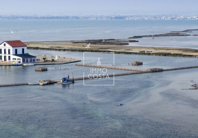 Nowy budynek - Villa - San Pedro del Pinatar - El Salero