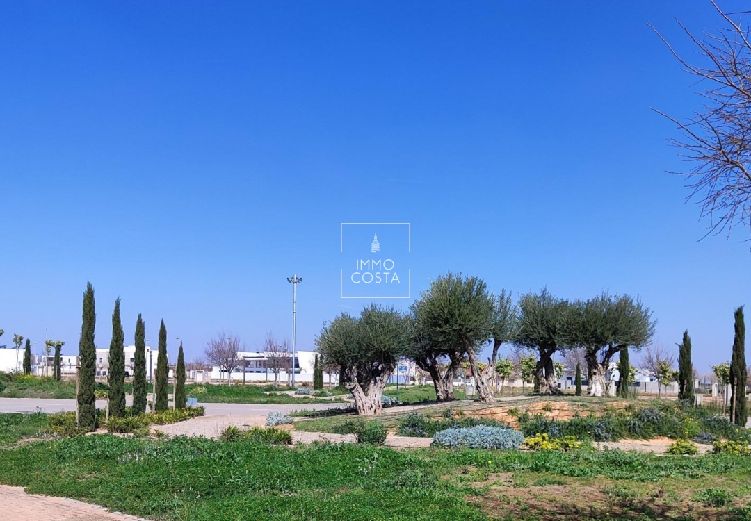 Neubau - Wohnung - Torre Pacheco - Centro