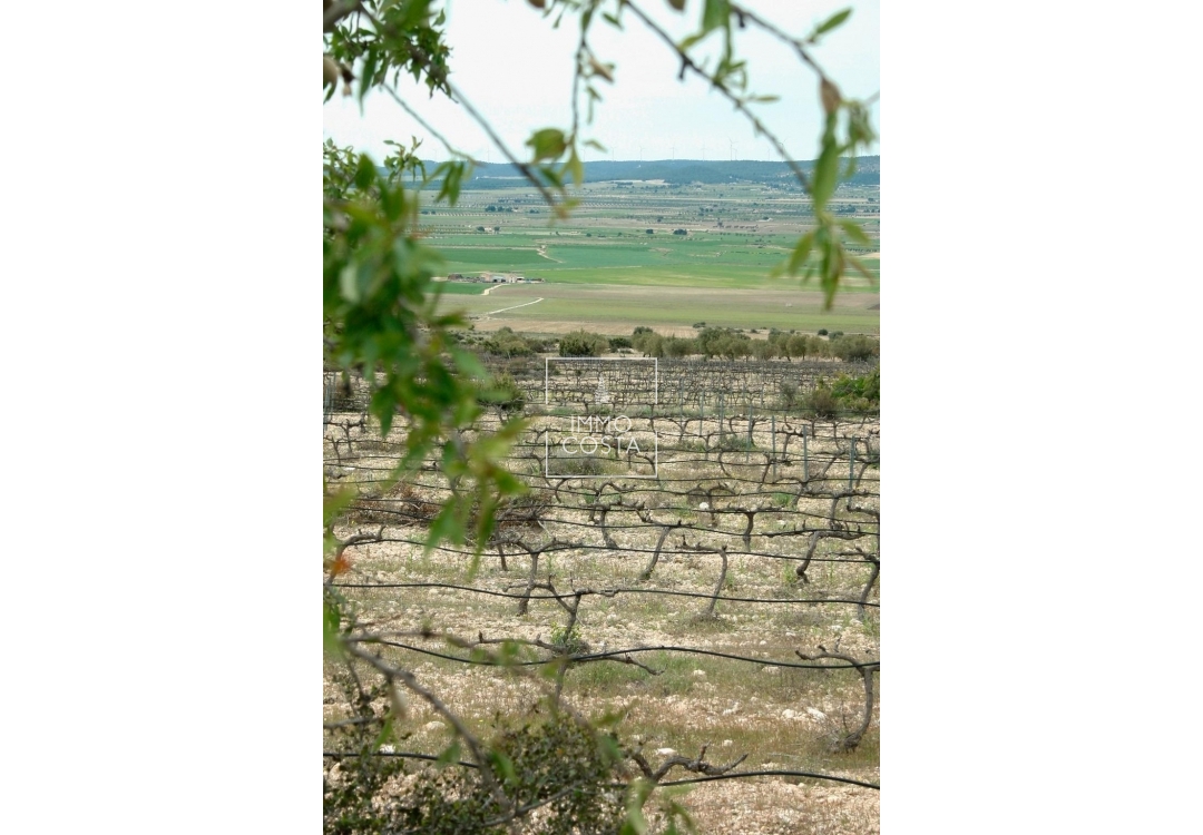 Nowy budynek - Villa - Yecla