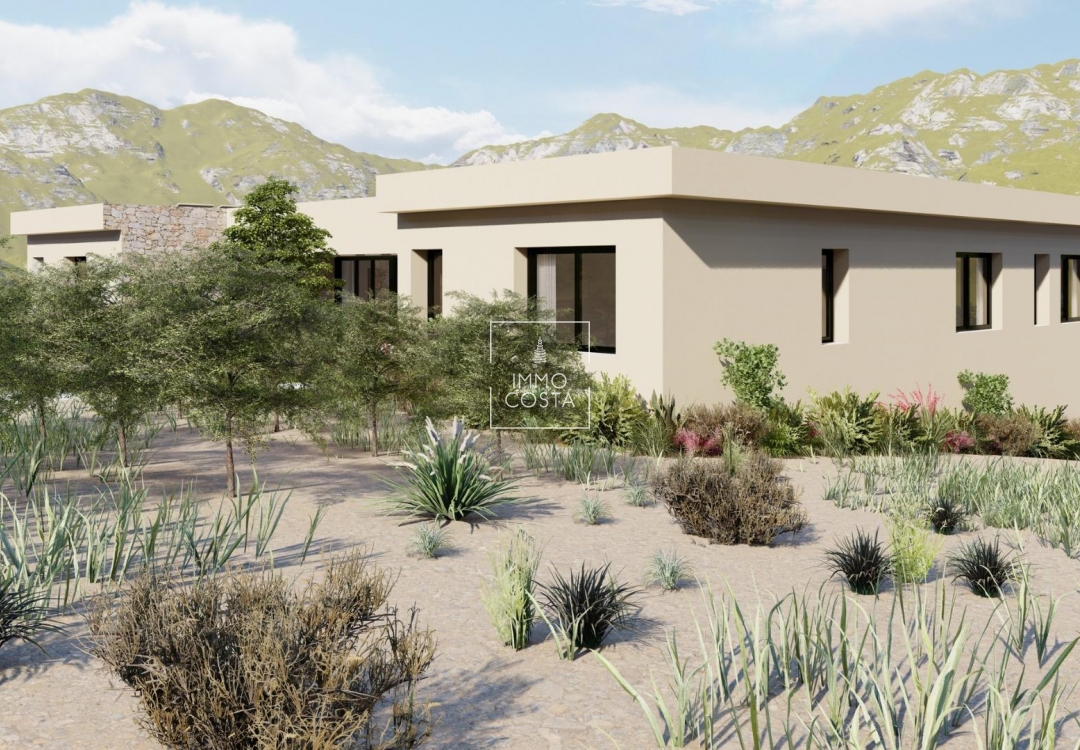 Nowy budynek - Villa - Yecla