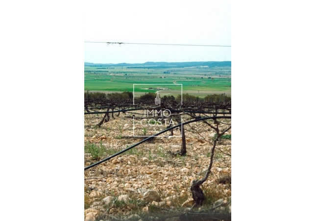 Nowy budynek - Villa - Yecla