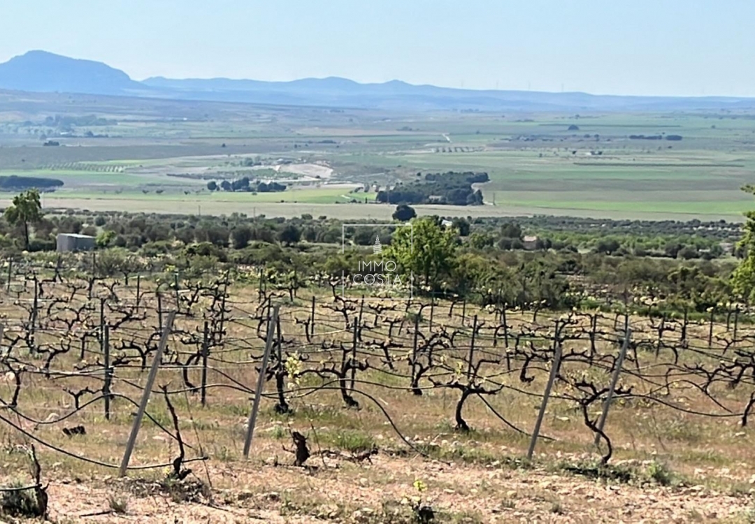 Nowy budynek - Villa - Yecla