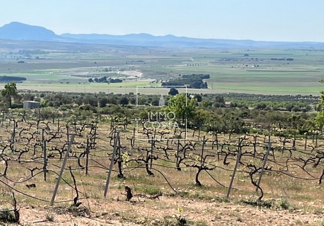 Nowy budynek - Villa - Yecla