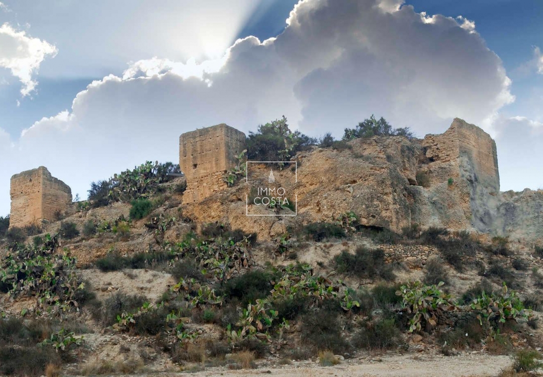 Obra nueva - Villa - Aspe - Centro