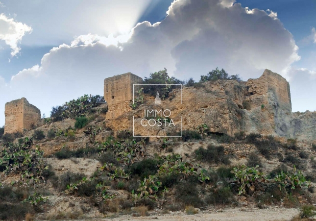 Obra nueva - Villa - Aspe - Centro