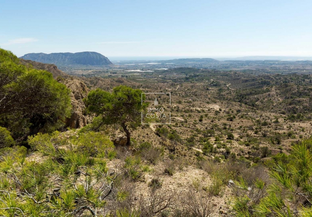 Obra nueva - Villa - Aspe - Centro
