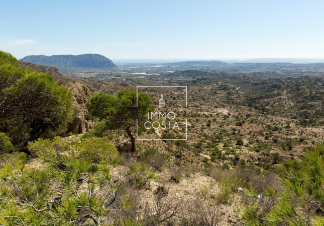 Obra nueva - Villa - Aspe - Centro