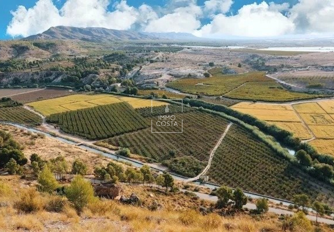 Neubau - Villa - Calasparra - Coto Riñales