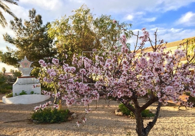 Neubau - Villa - Los Urrutias - Estrella De Mar