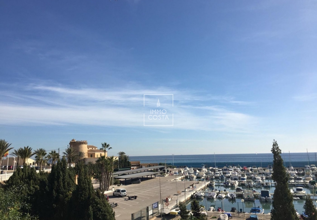 Neubau - Villa - Pilar de La Horadada - Las Higuericas