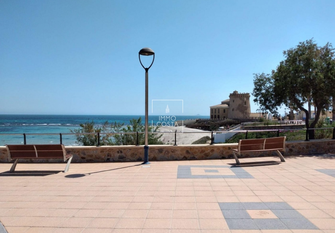 New Build - Villa - Pilar de La Horadada - pueblo