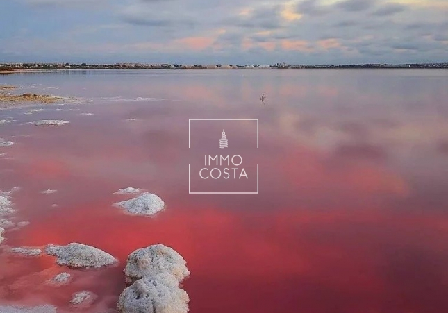 Neubau - Villa - Torrevieja - Lago Jardín II