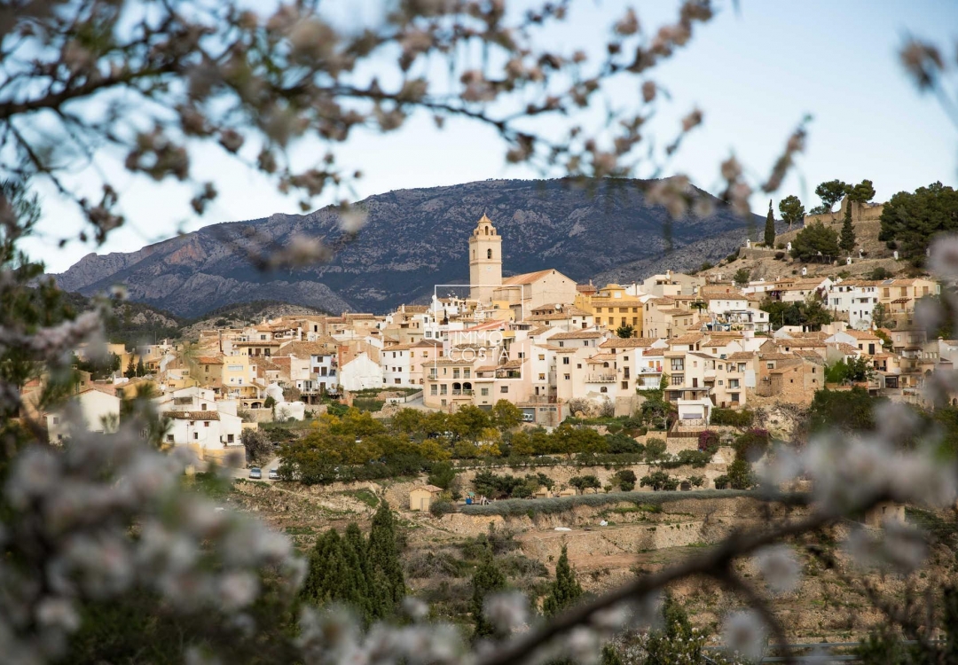 Nowy budynek - Villa - Polop - Polop Hills