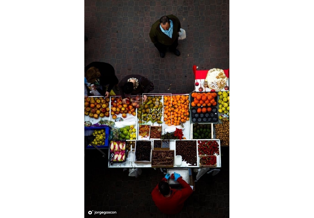 Neubau - Stadthaus - Dolores - Sector 2