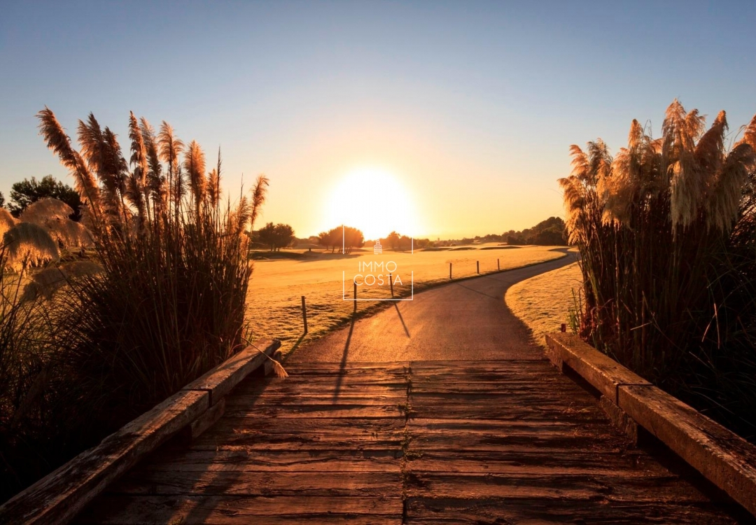 Nouvelle construction - Villa - Pilar de La Horadada - Lo Romero Golf