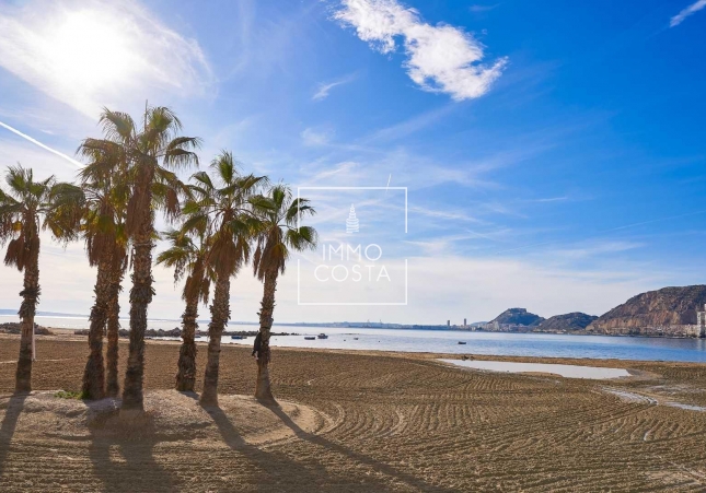 Nouvelle construction - Villa - Els Poblets - Partida Barranquets