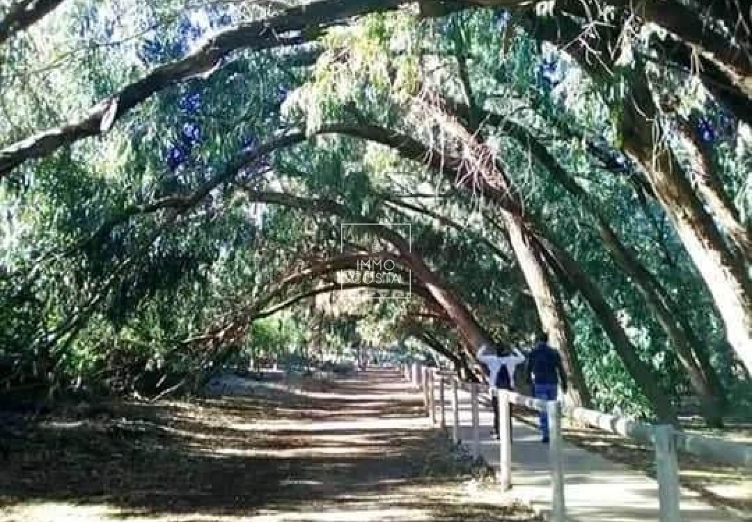 Obra nueva - Bungalow - Torrevieja - Altos del Sol