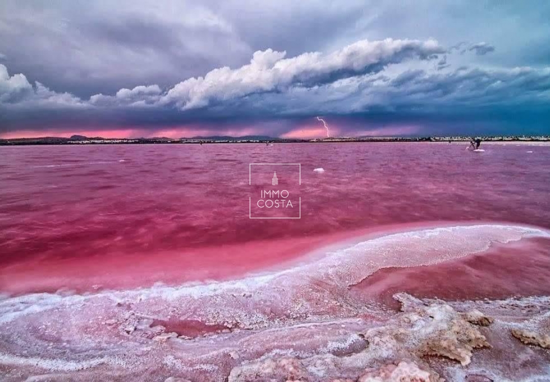 Obra nueva - Bungalow - Torrevieja - Altos del Sol