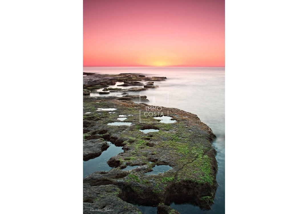 Neubau - Bungalow - Torrevieja - Altos del Sol