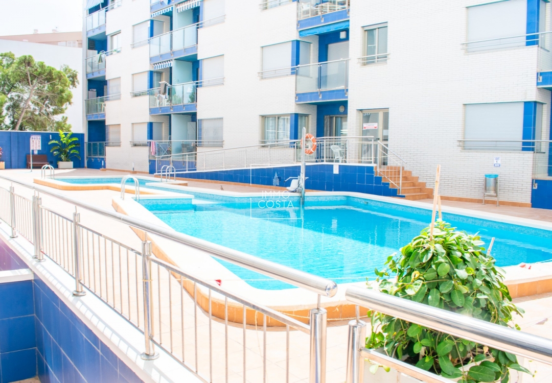 Altbau - Wohnung - Torrevieja - Playa Los Locos