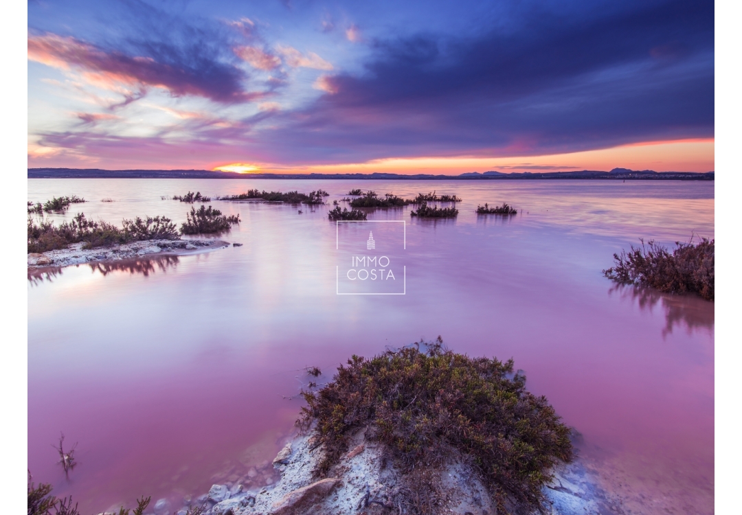 Altbau - Villa - Torrevieja - Center
