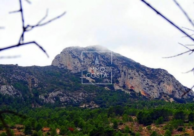 Obra nueva - Villa - La Romana - Batistes