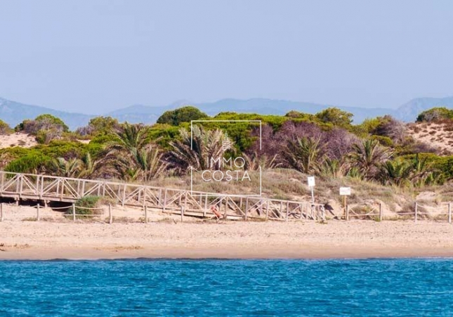 Neubau - Penthouse - Guardamar del Segura - Pueblo