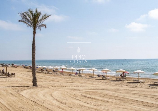 Obra nueva - Apartamento / piso - Guardamar del Segura - Pueblo