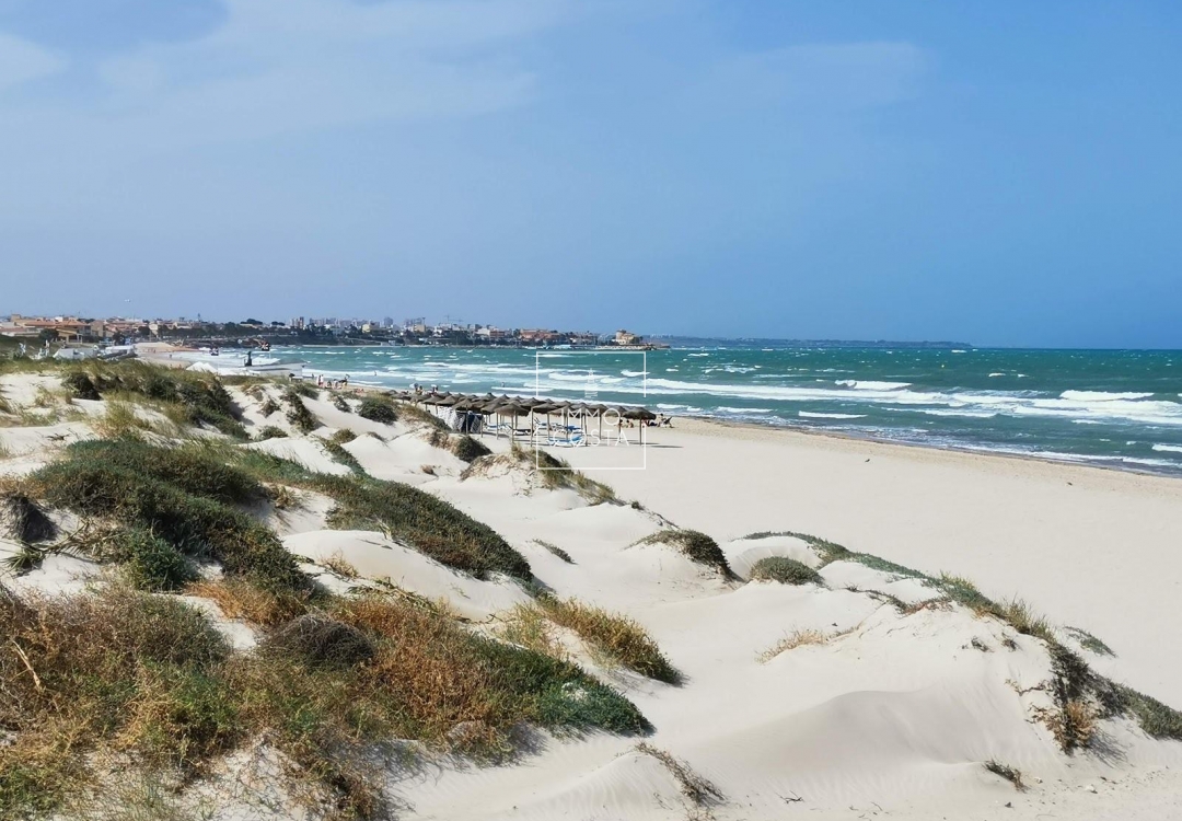 Nowy budynek - Villa - Pilar de La Horadada - Pilar De La Horadada