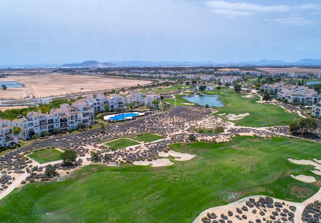 Nowy budynek - Villa - Sucina