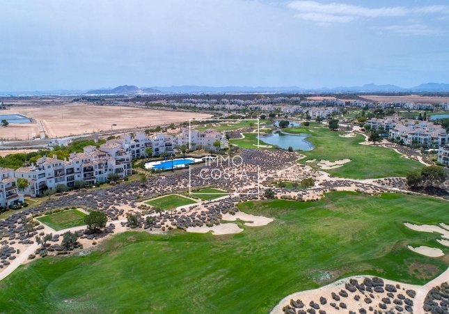 Nowy budynek - Villa - Sucina