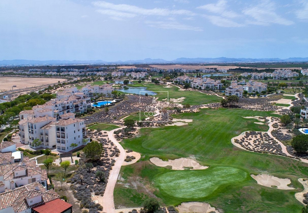 Nowy budynek - Villa - Sucina