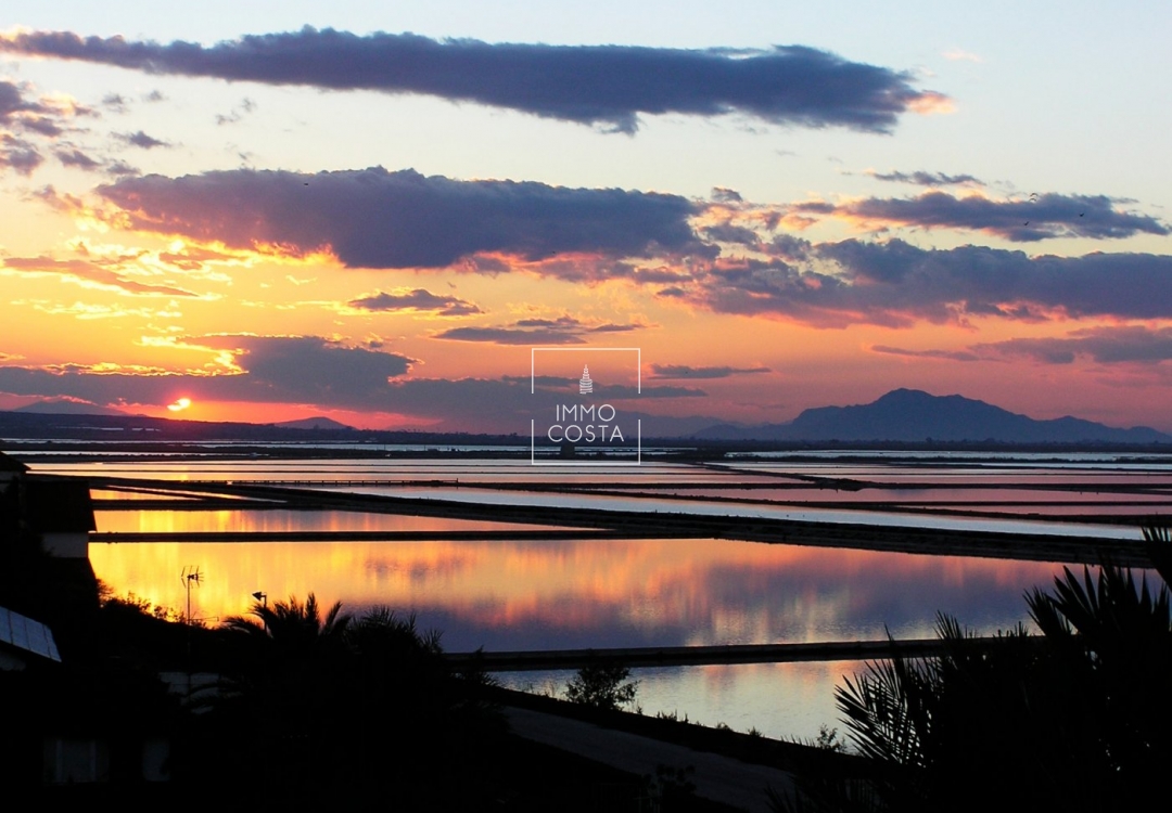 Nieuwbouw Woningen - Appartement / flat - Gran Alacant