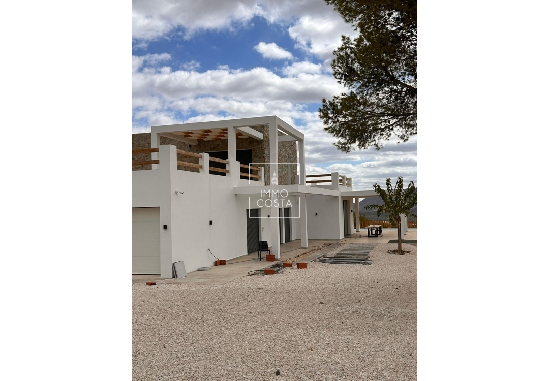 Nowy budynek - Villa - Pinoso