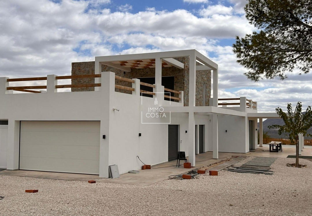 Nowy budynek - Villa - Pinoso