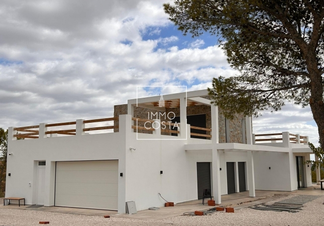 Nowy budynek - Villa - Pinoso